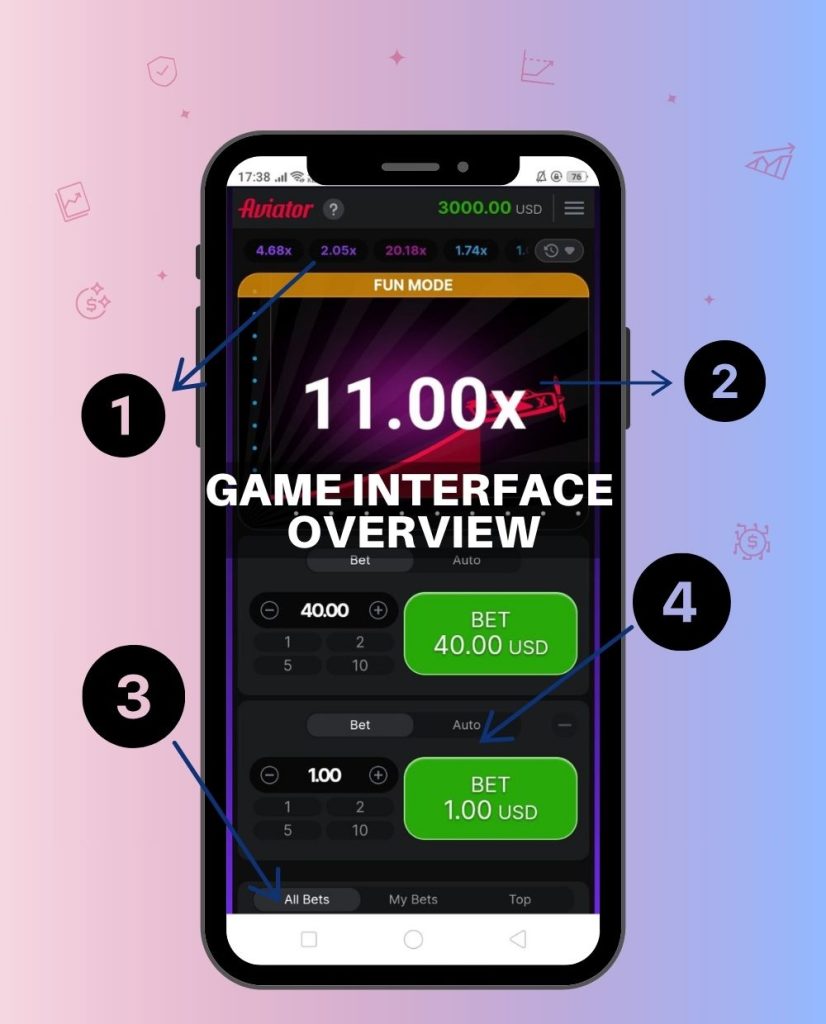 Aviator Game Interface Overview​